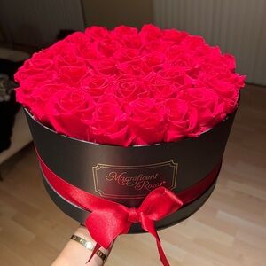 Magnificent Roses Preserved Roses
